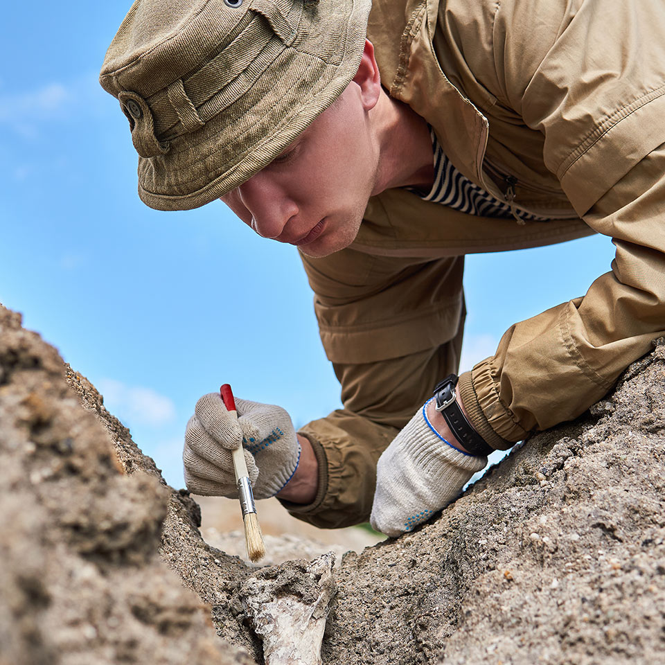 Paleontologist leaning on the ground, gently cleaning a fossil with a brush