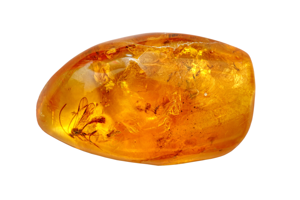 A piece of Amber on a white background