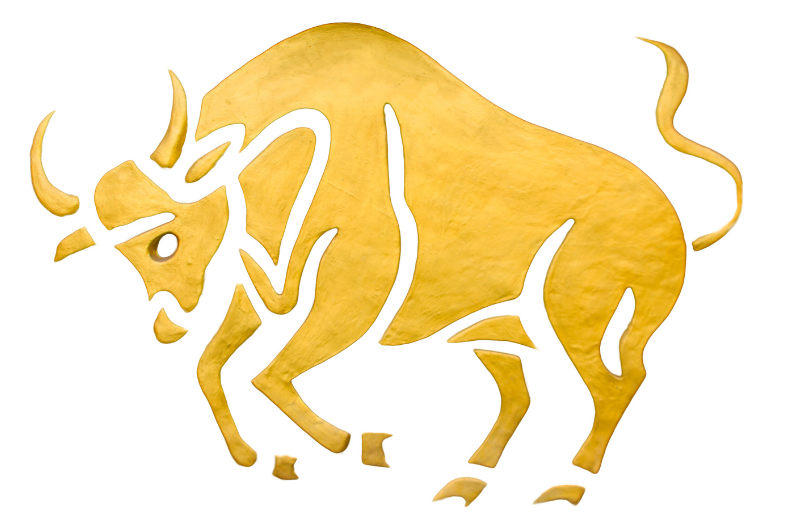 taurus bull