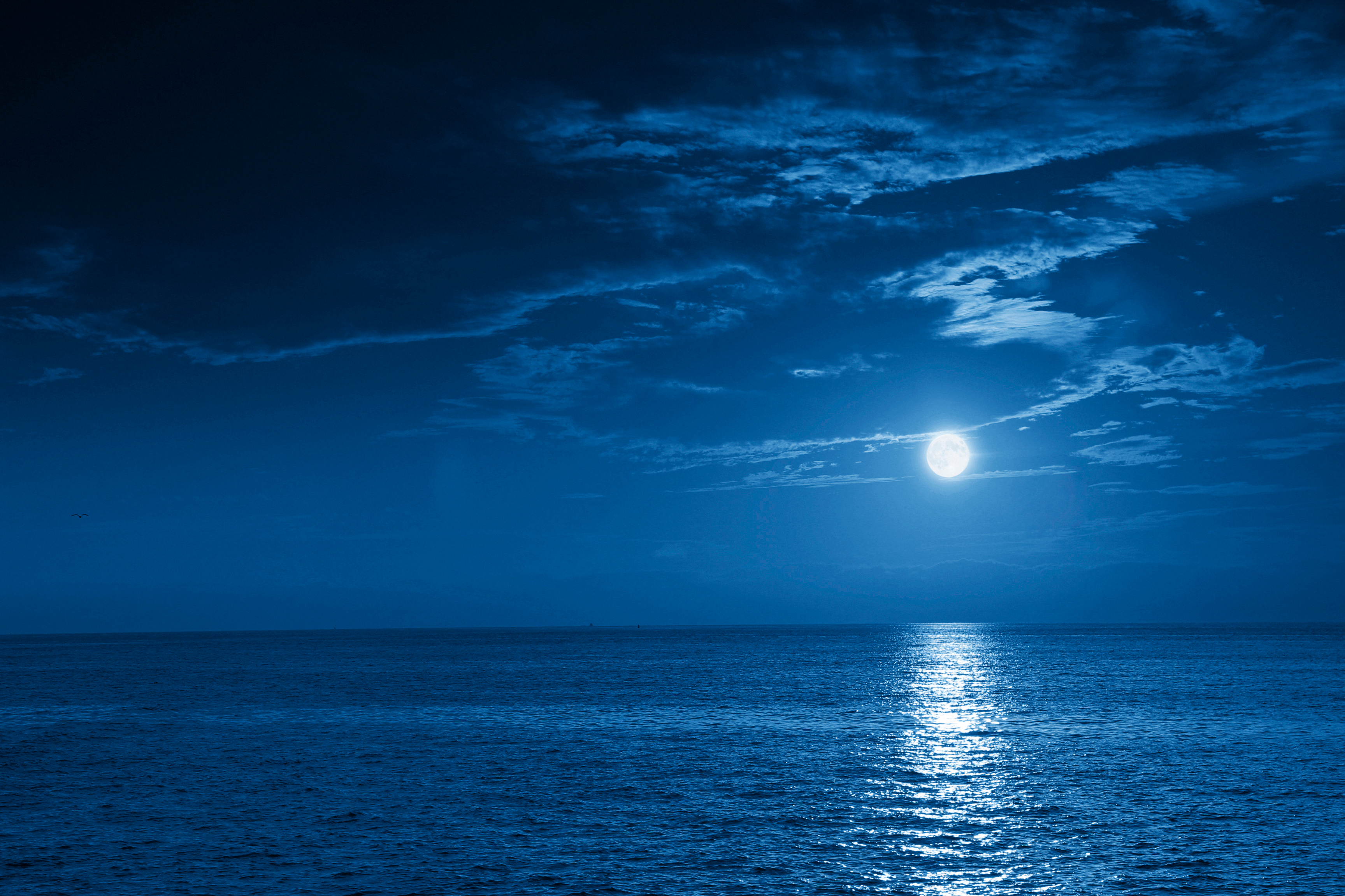 A full moon over the sea in the night sky