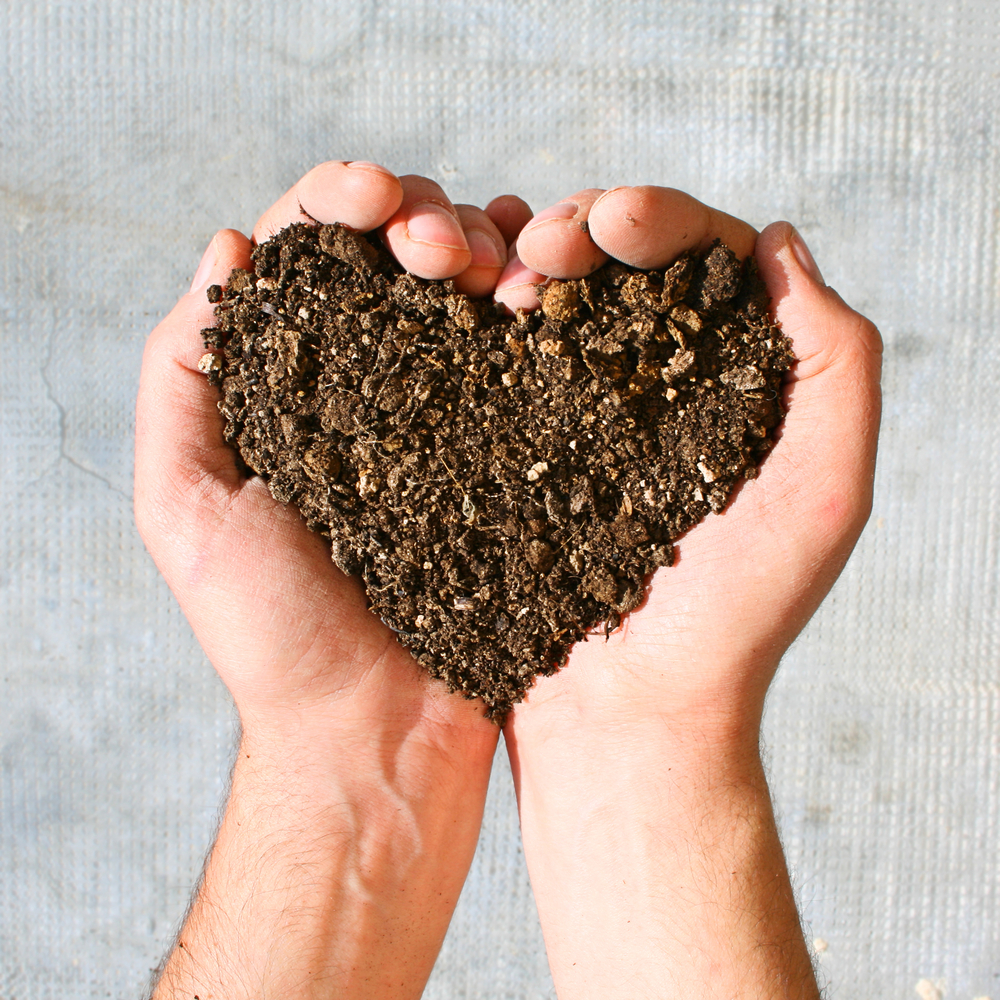 Hands holding earth in a heart shape