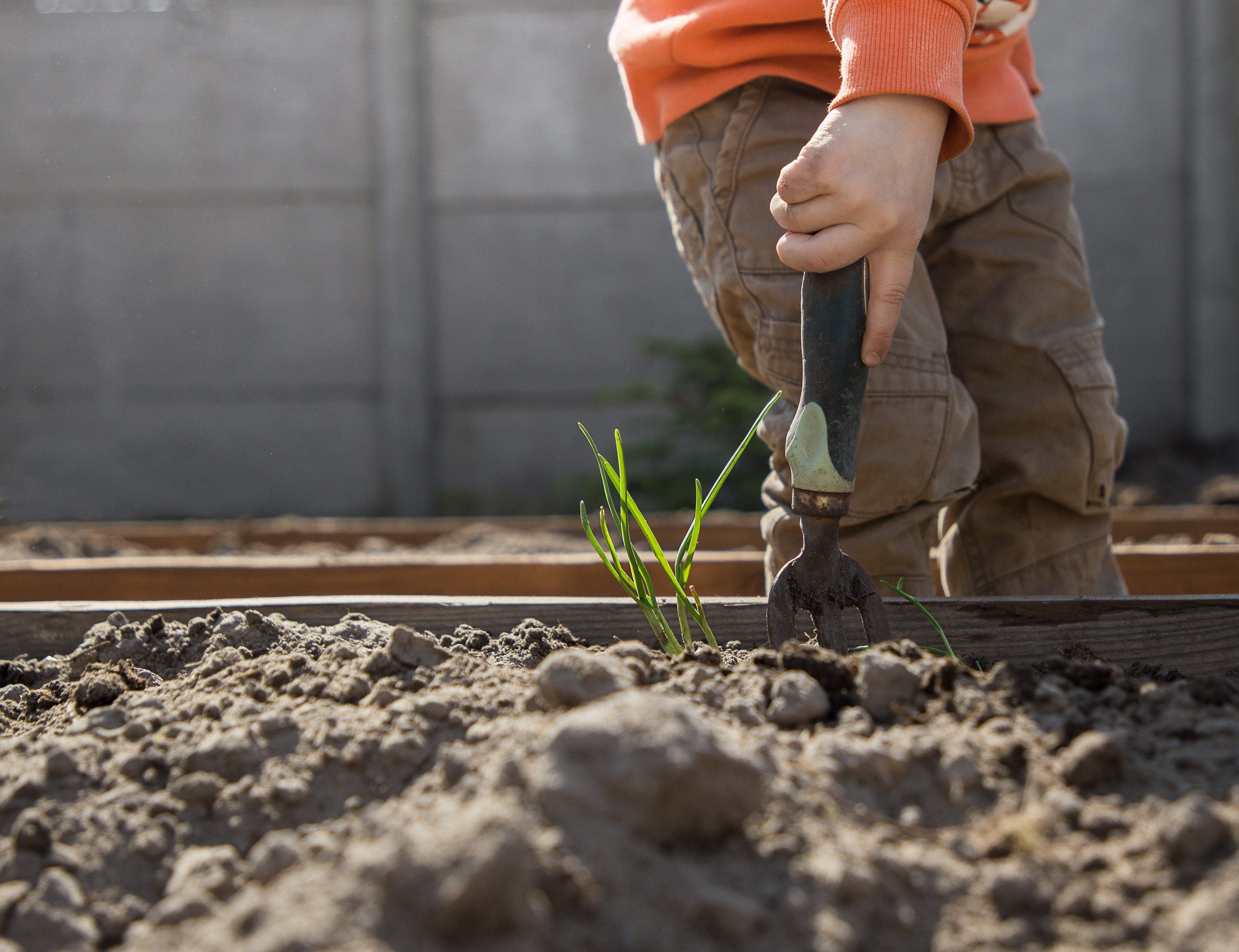 Person gardening outdoors in nature with a trowel 