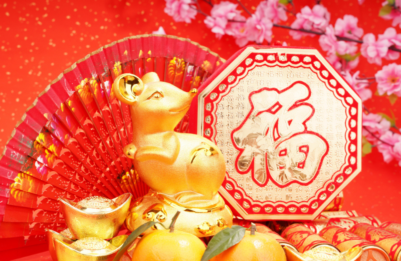 chinese Year of the Rat
