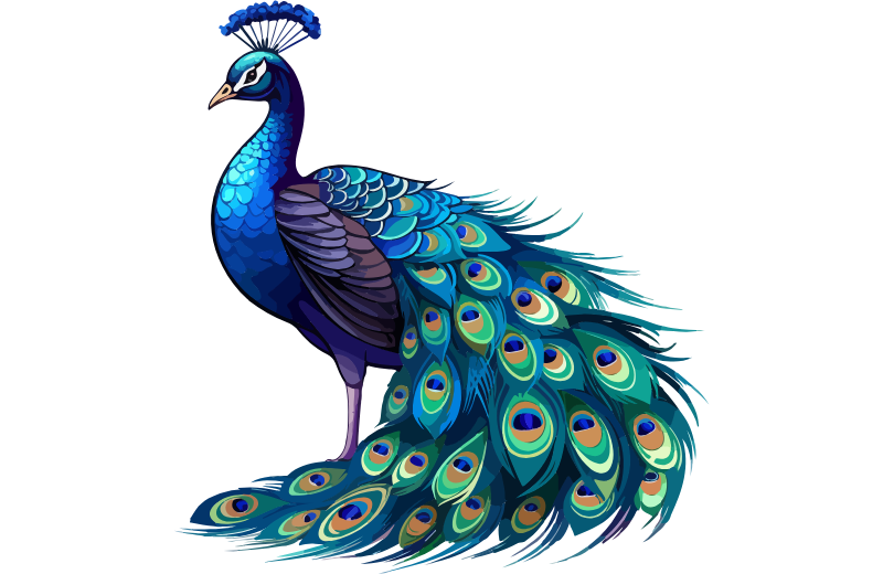 Symbols Associated with Saraswati