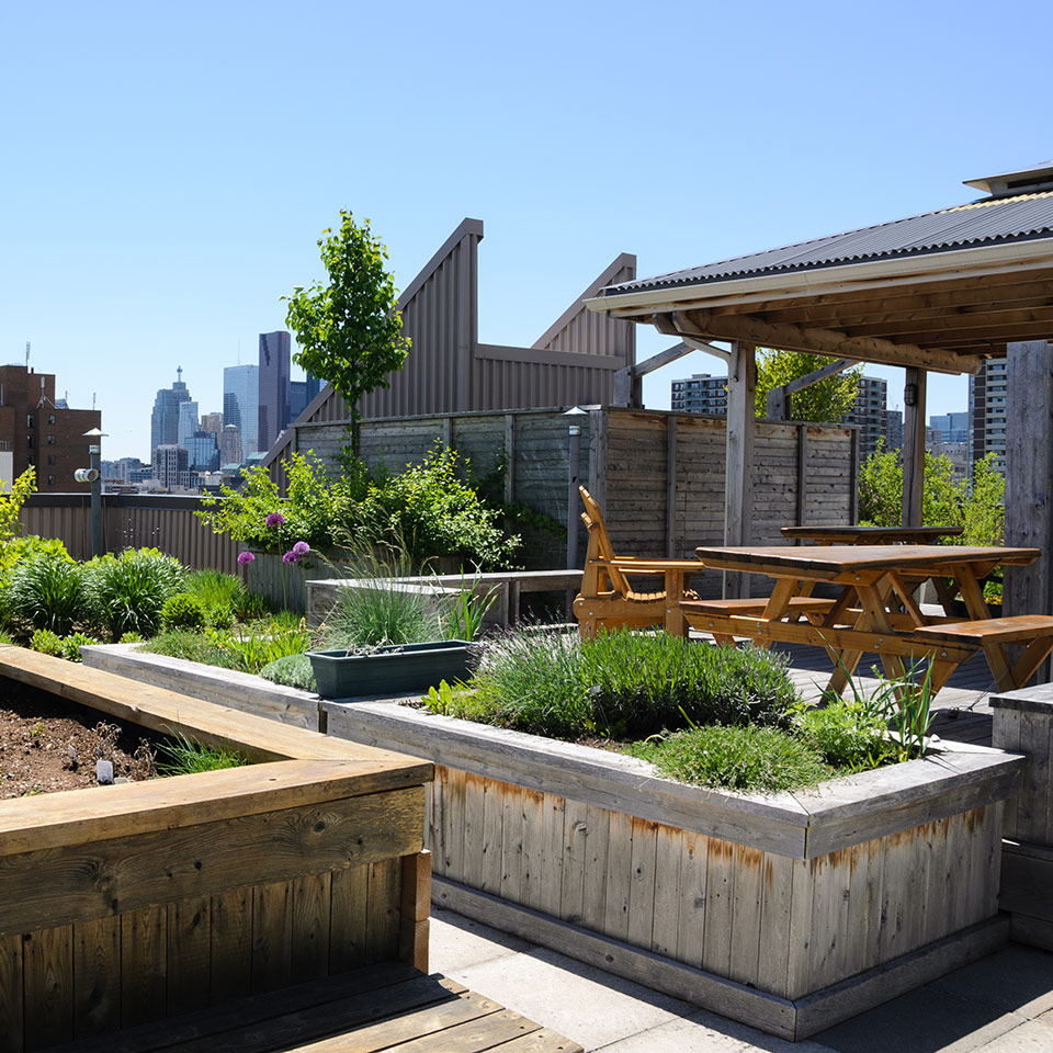 Rooftop garden with raised beds