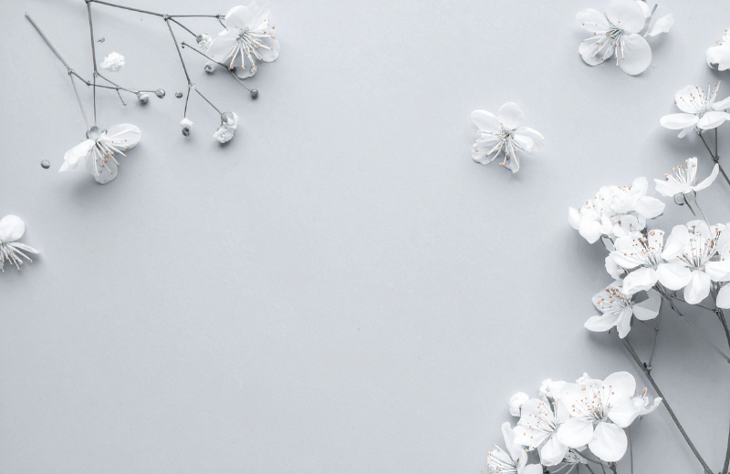 Hawthorn flowers flatlay