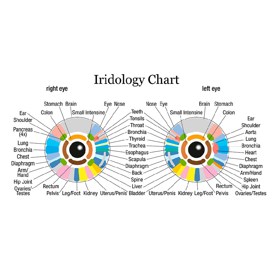 Sclerology Chart Free