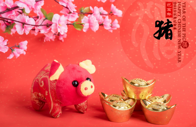 chinese Year of the Pig