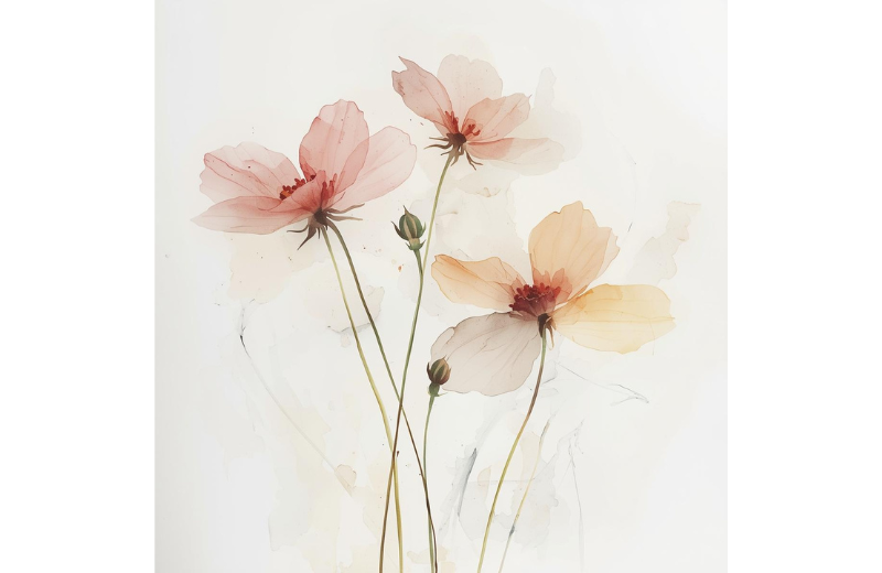 cosmos october birth flower artwork