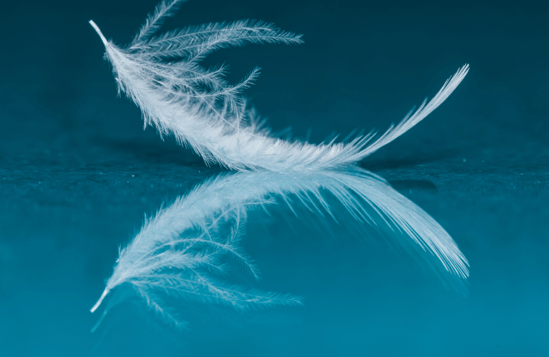 What Does a Feather Tattoo Mean Spiritually?