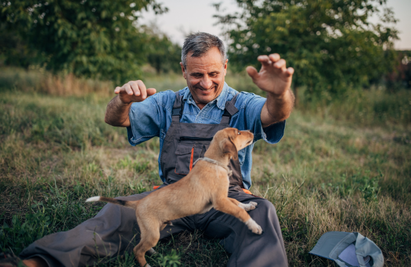 Redirecting a puppy's attention