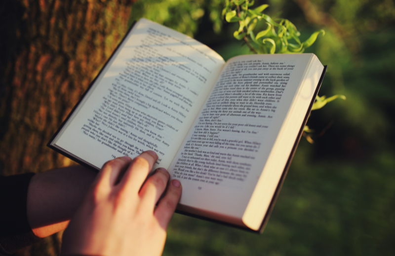 Image of someone reading a novel.