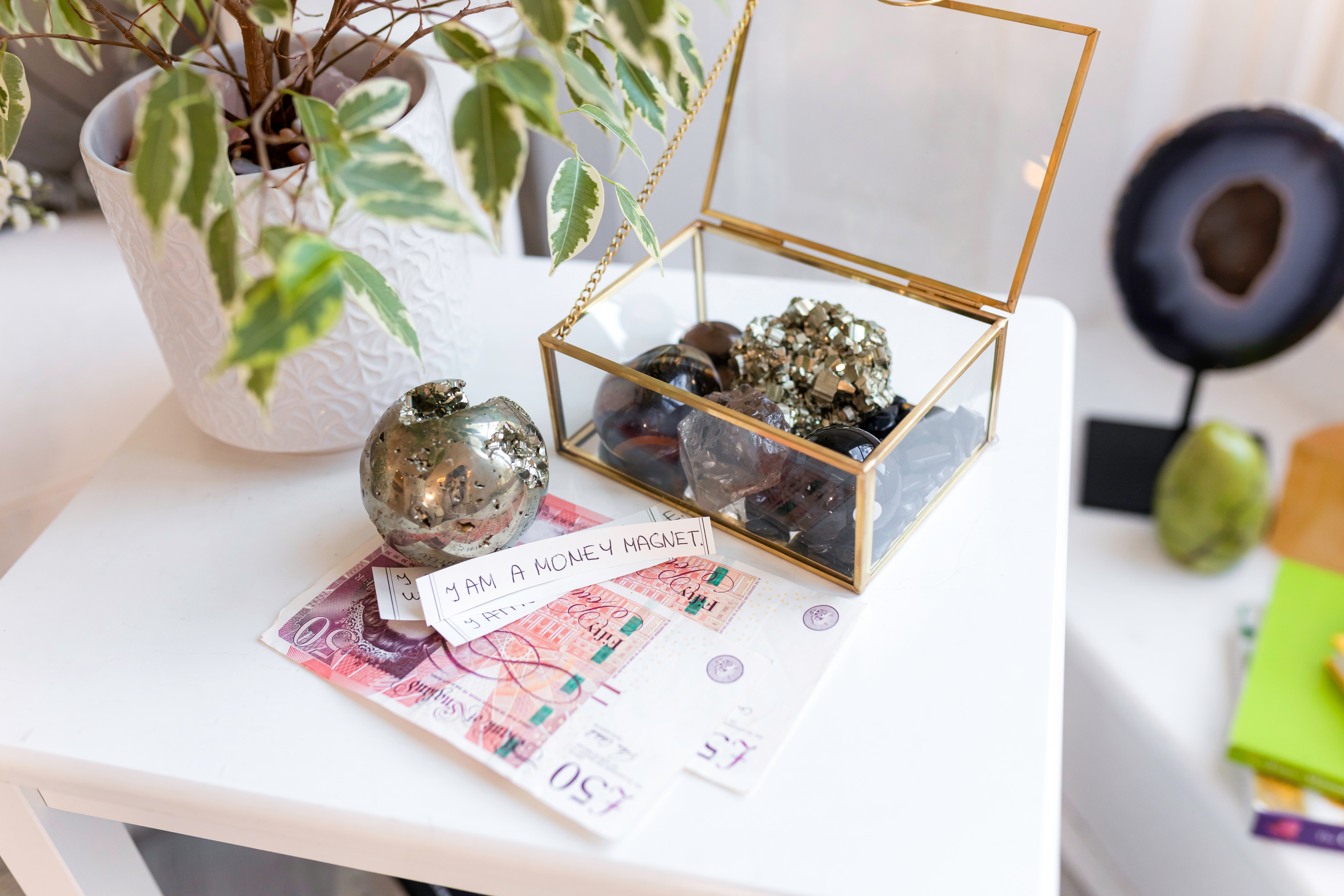 Image of jewellery and money next to a plant, with a sign saying 'I am a money magnet'