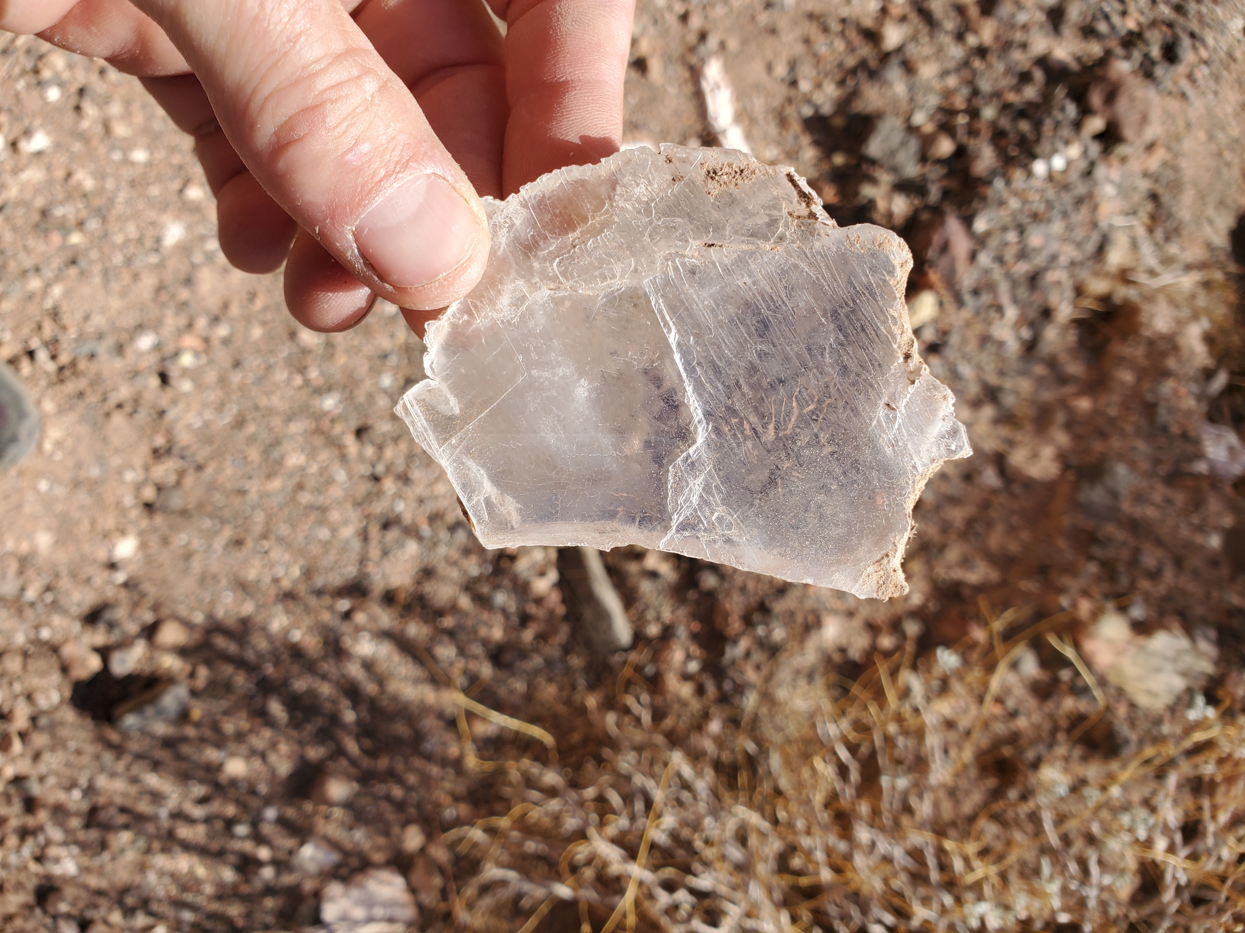 A piece of raw Selenite