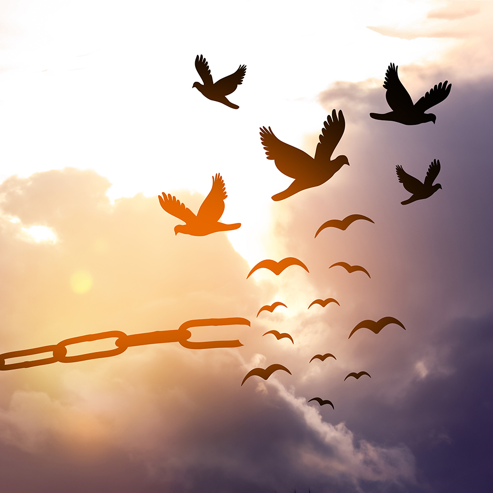 Silhouettes of broken chain and birds flying in the sky