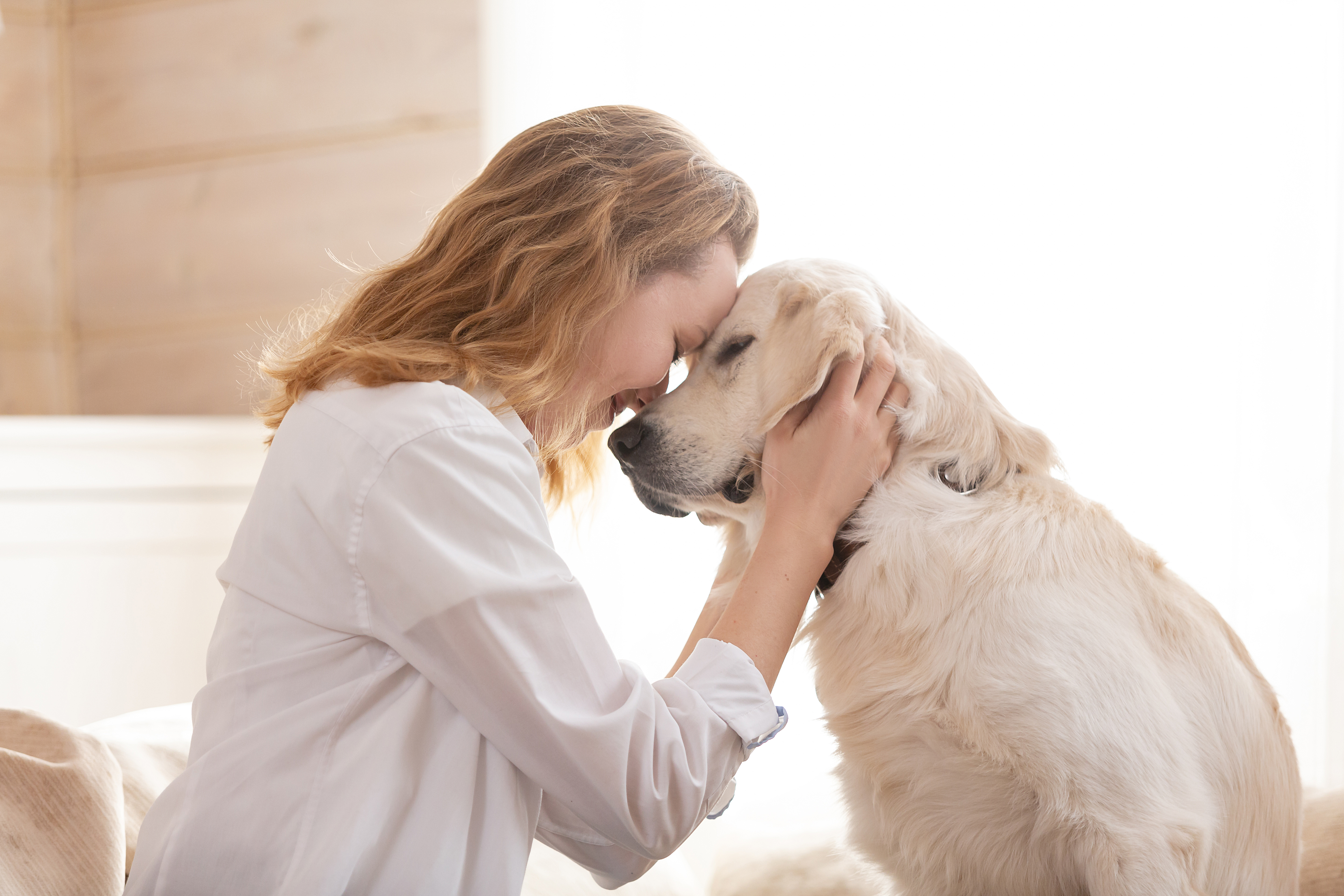 Woman hugging therapy dog