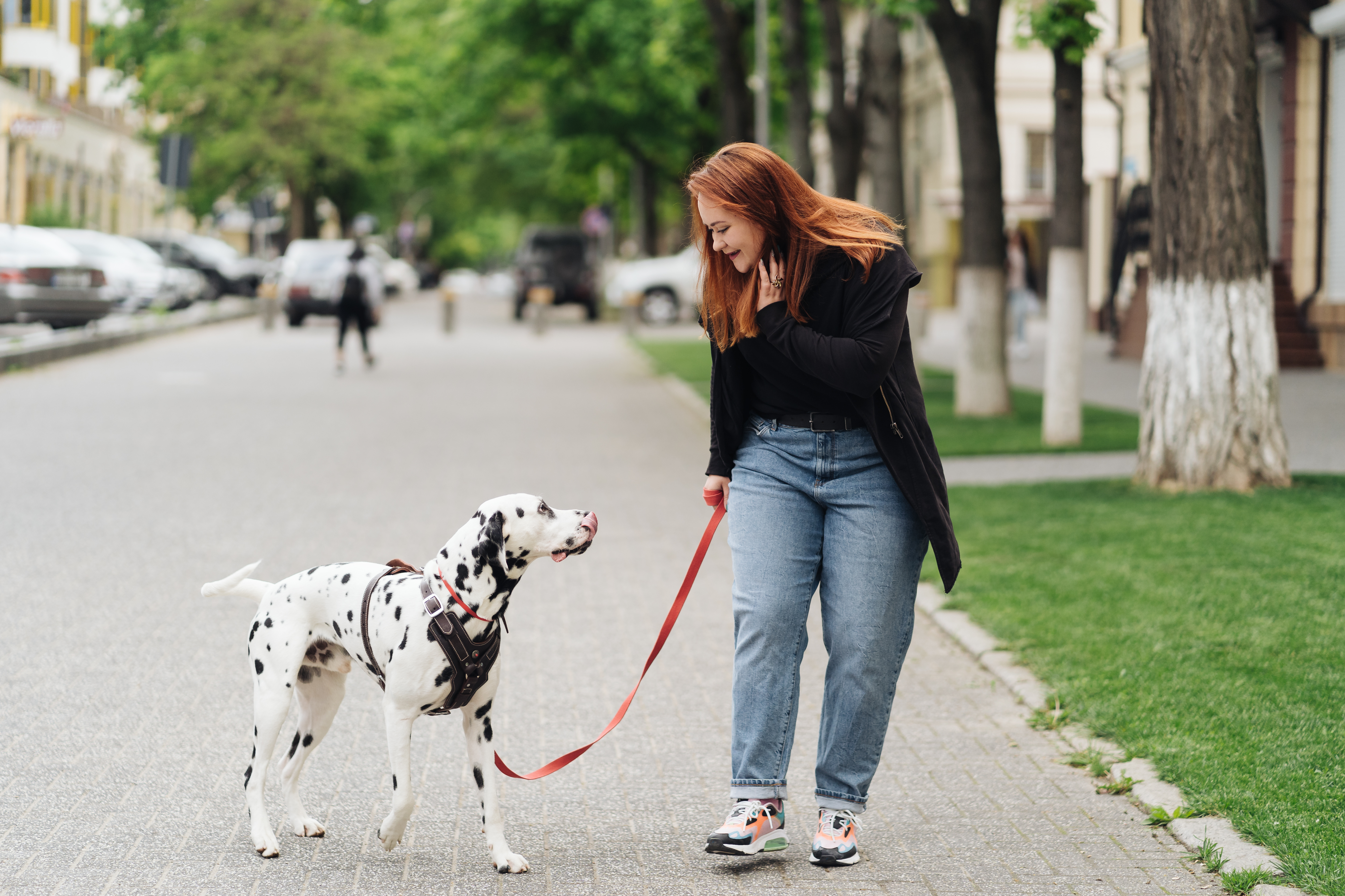 Plus sized woman walking dog