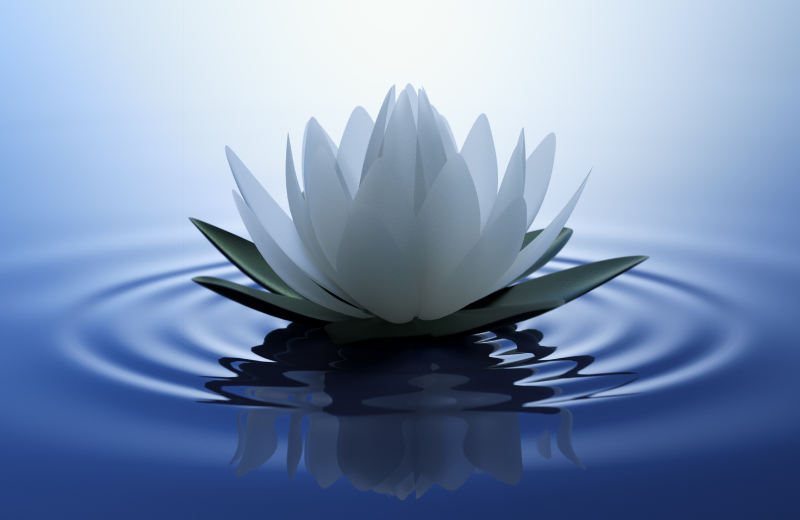 lotus symbol
