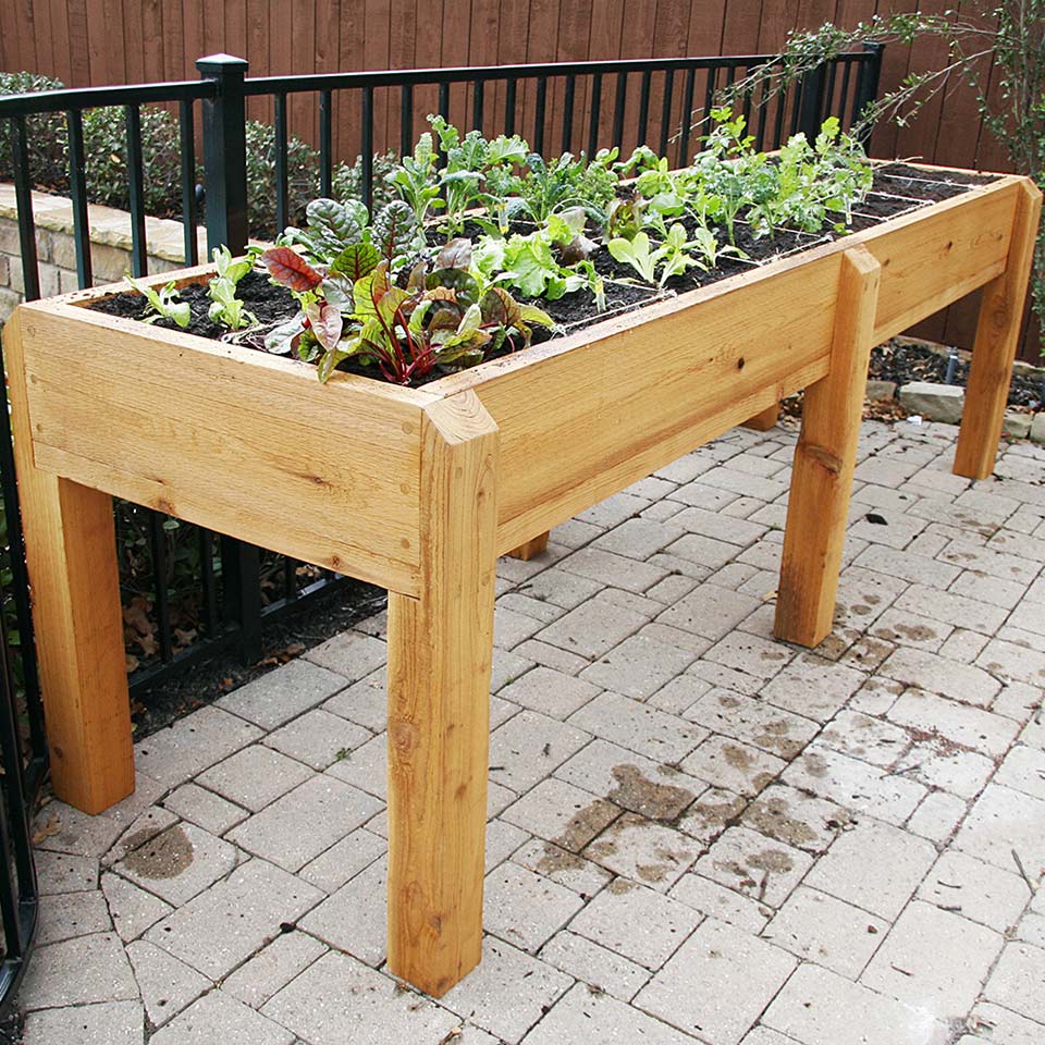 Raised flower bed table with organic plants growing inside it