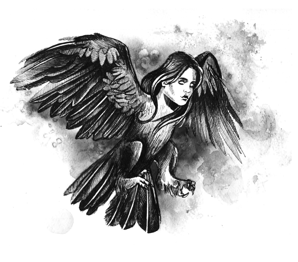 A drawing of a Harpy