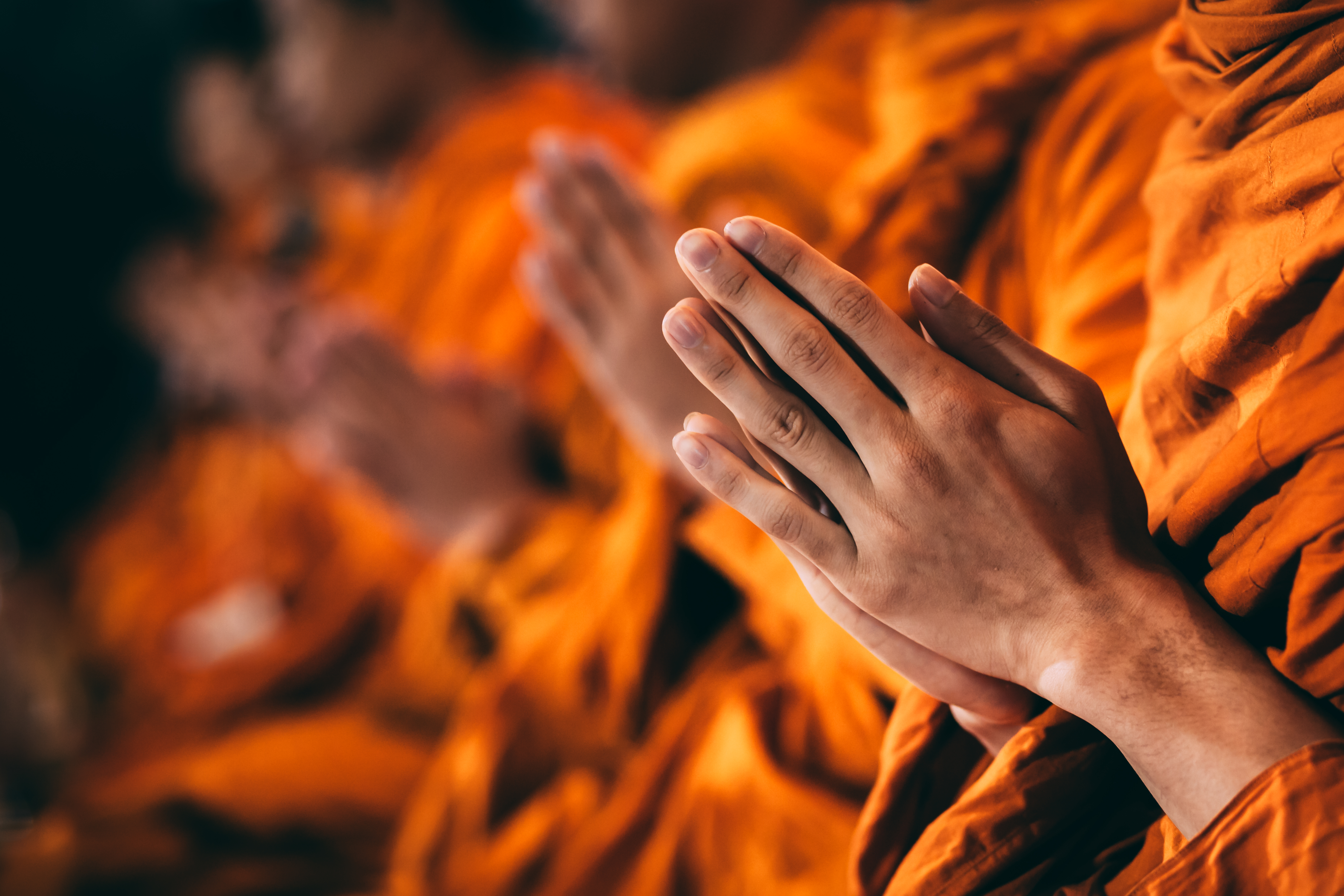 Buddhist monks praying together