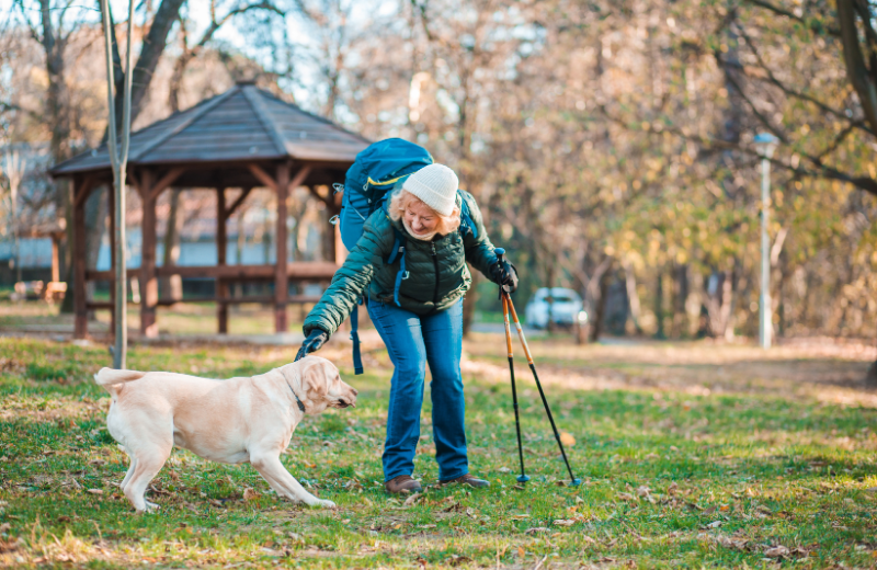 What to Consider Before Getting a Dog in Later Life