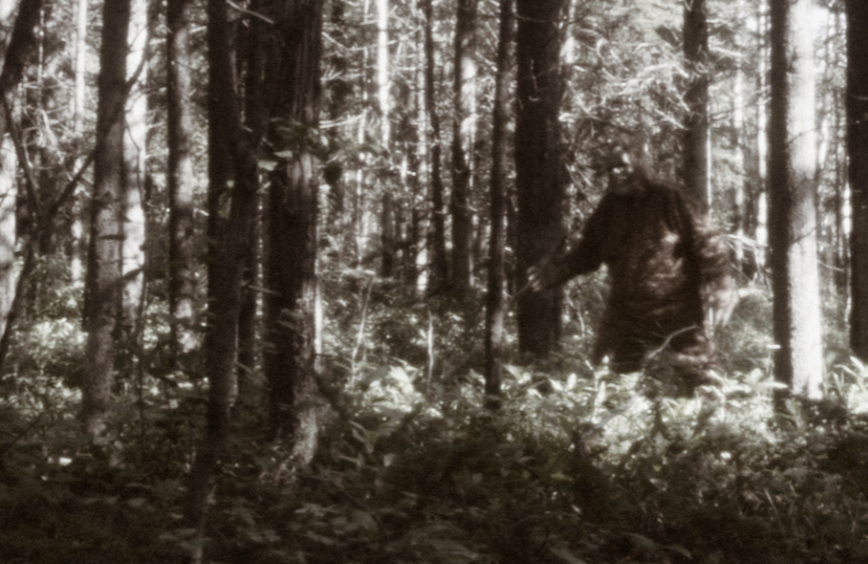 Bigfoot real photo