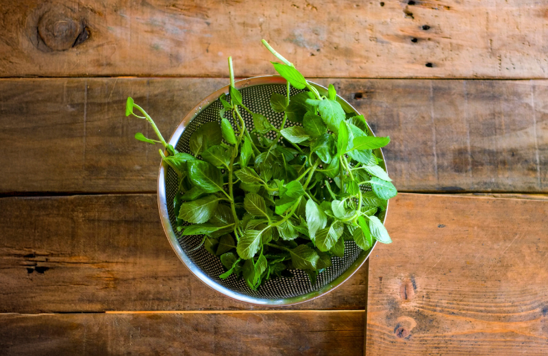 basil for luck
