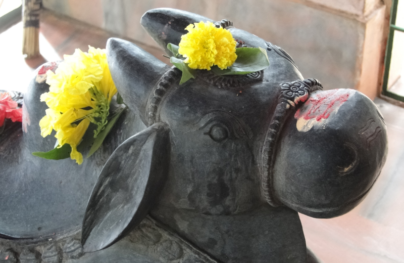 Nandi the Bull hinduism