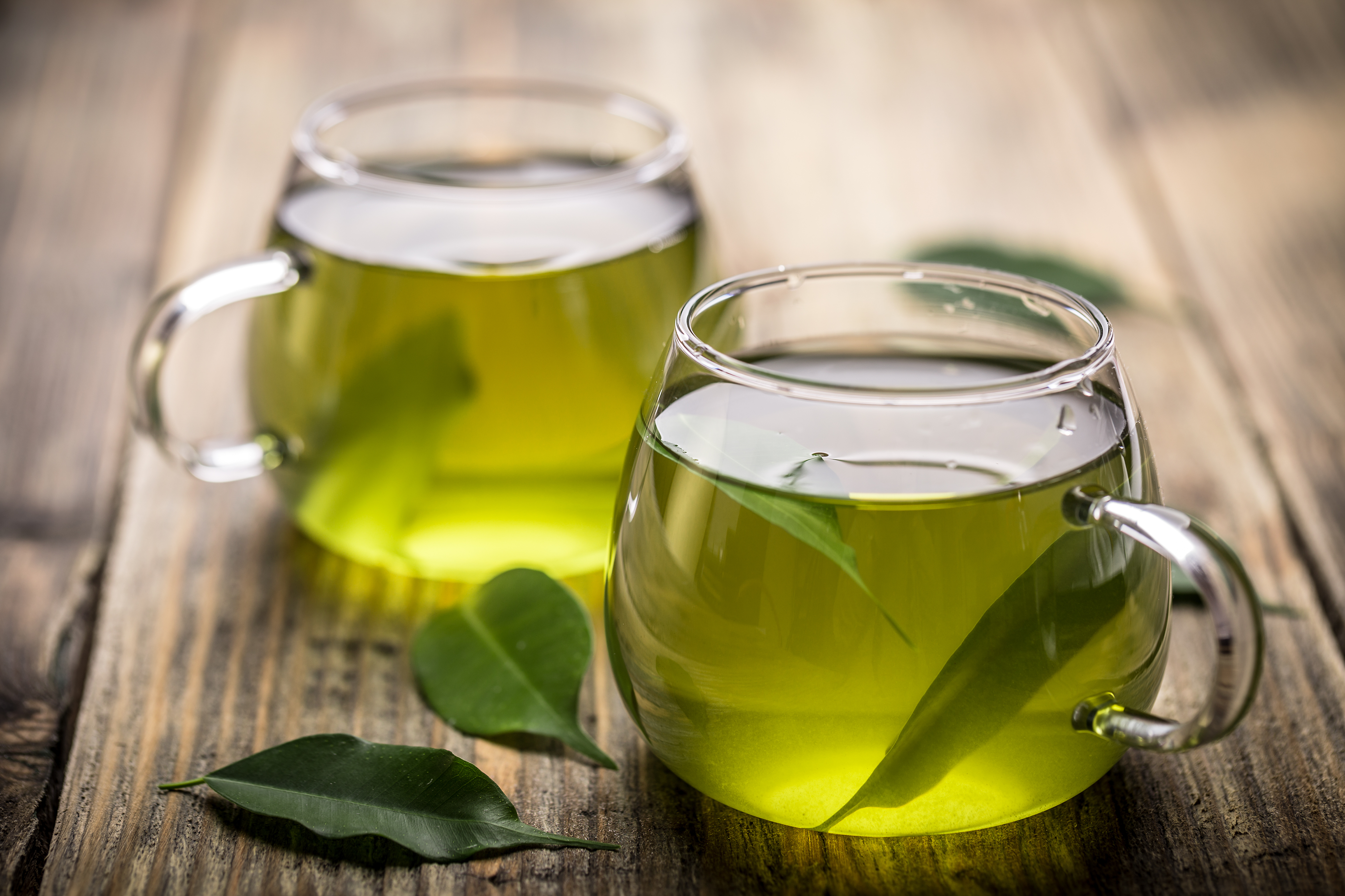 Green tea for weight loss