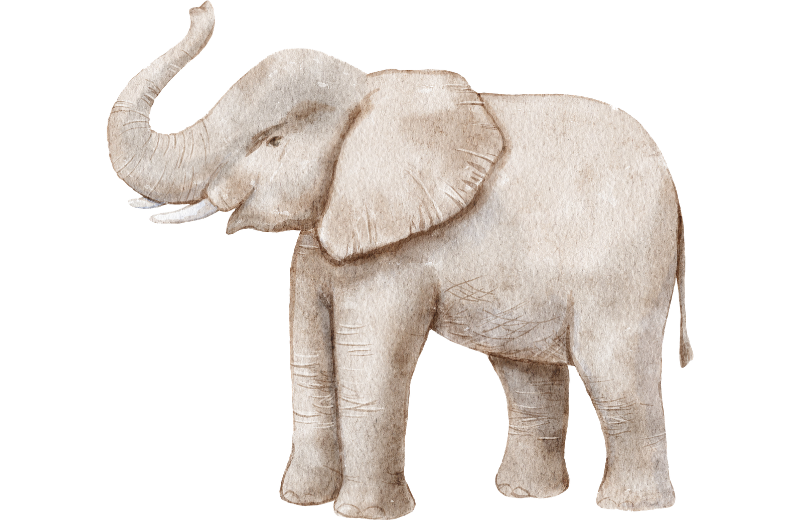 elephant artwork