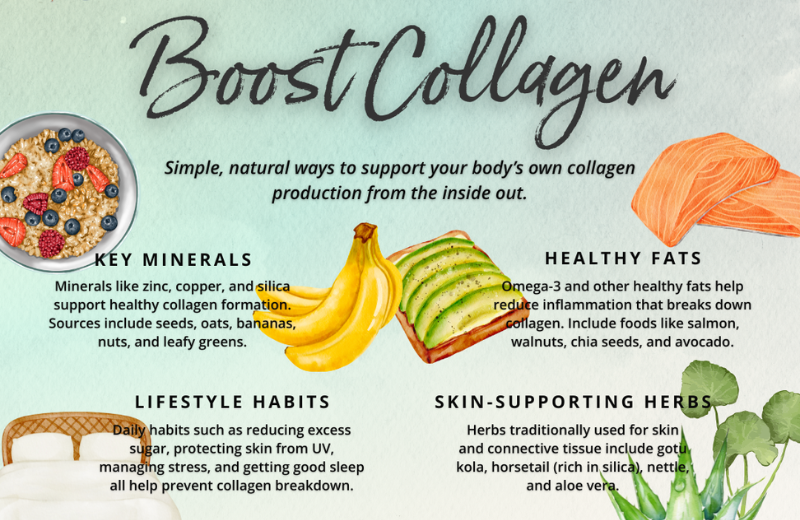 Image of an infographic about collagen.
