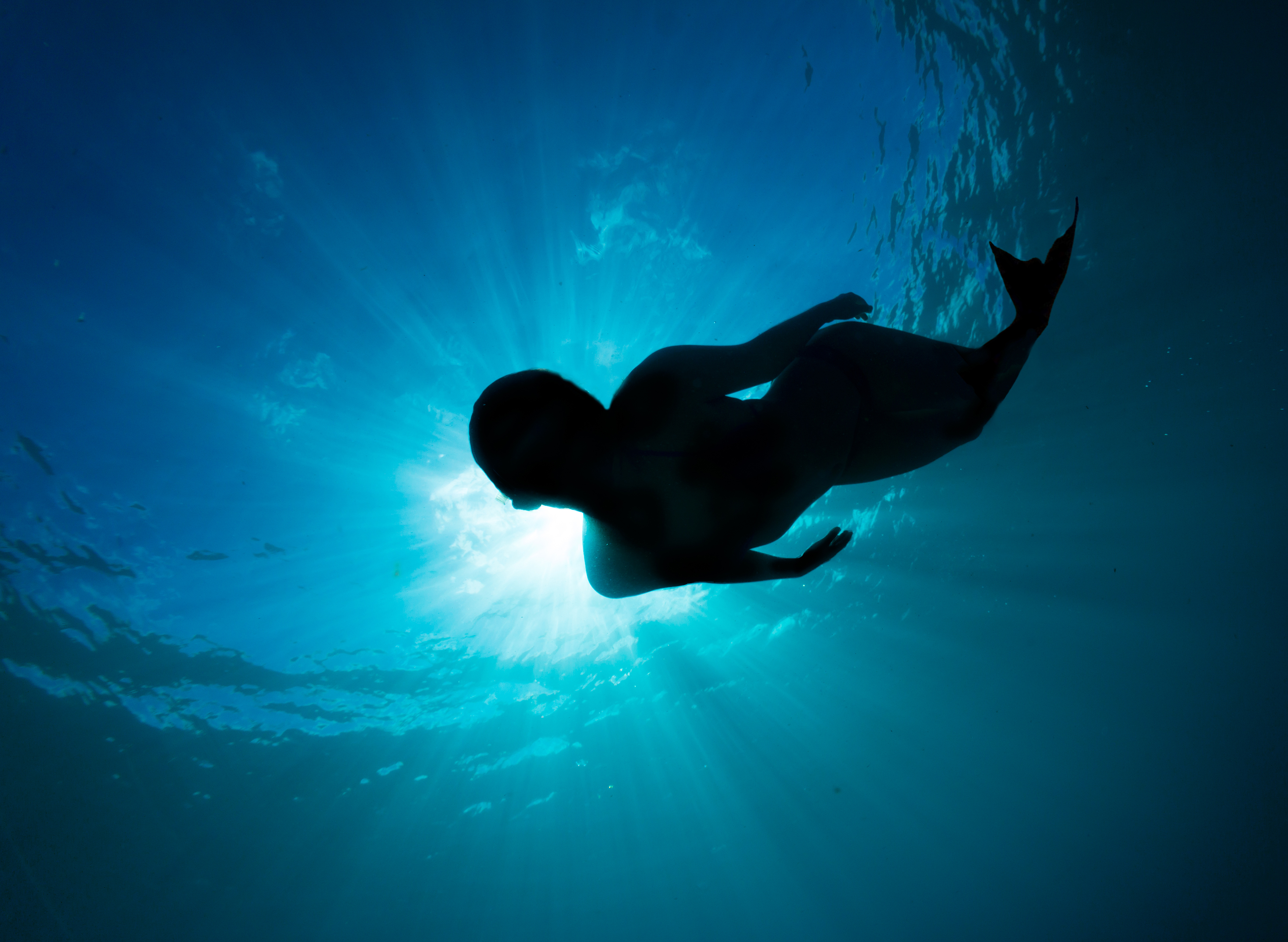 A silhouette under the sea