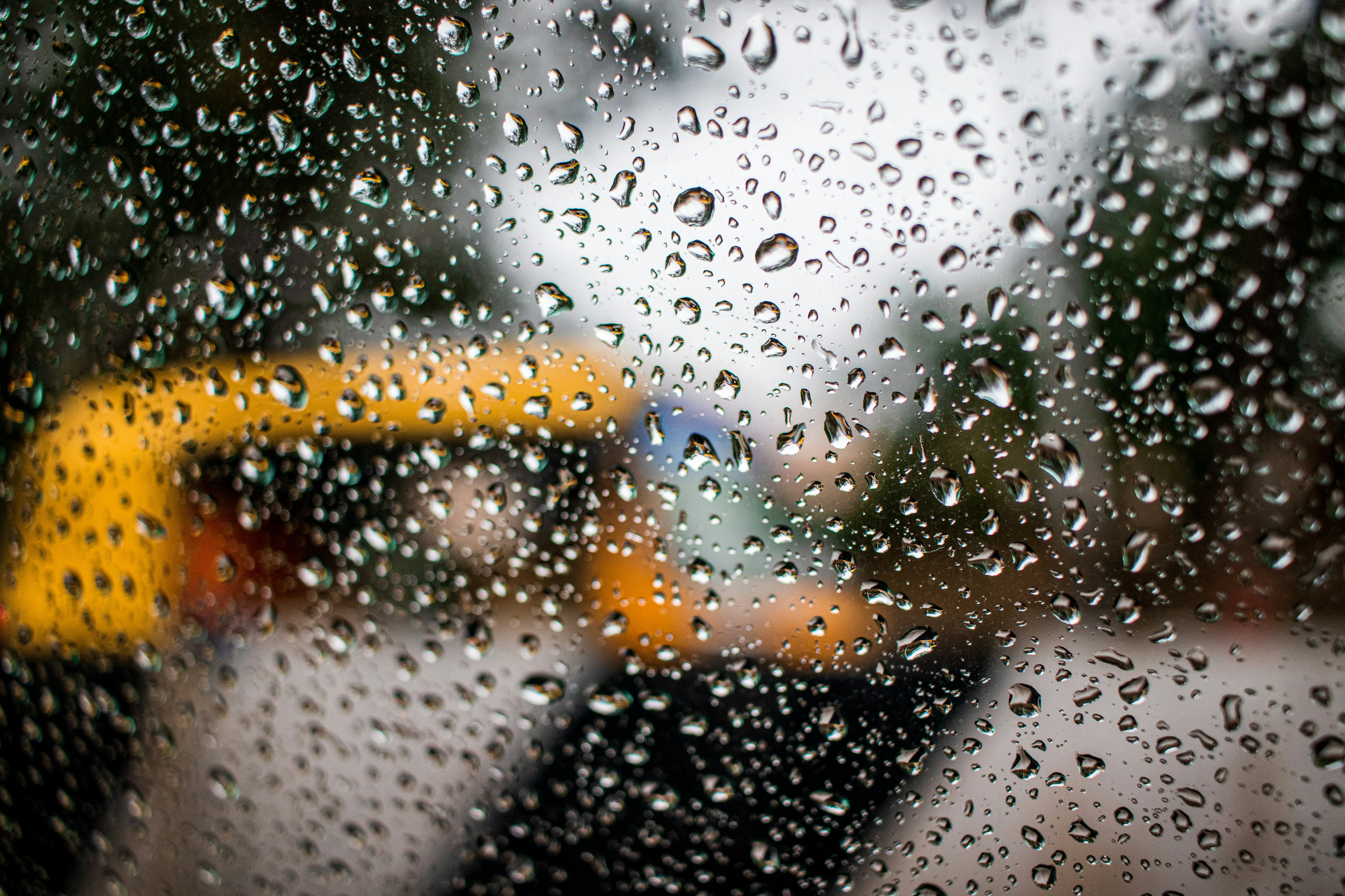 Rainfall on window