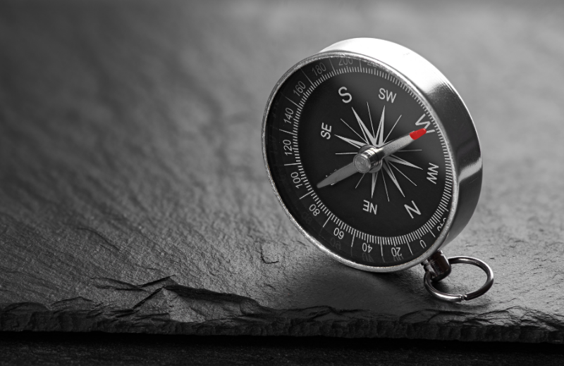 Year of the Dog Personality Traits