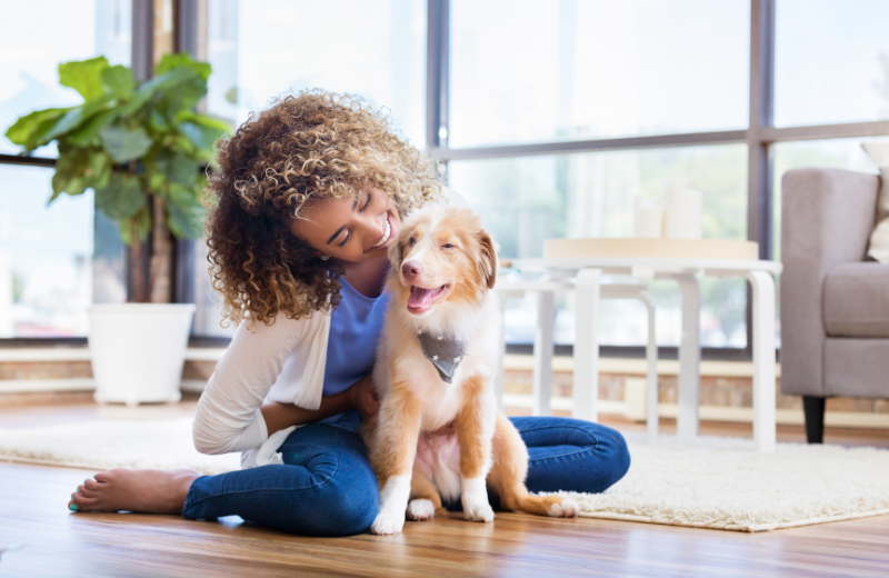 When Should You Start Leaving Your Puppy Alone?